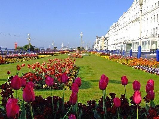 Sterling Lodge Hotel ايستبورن المظهر الخارجي الصورة